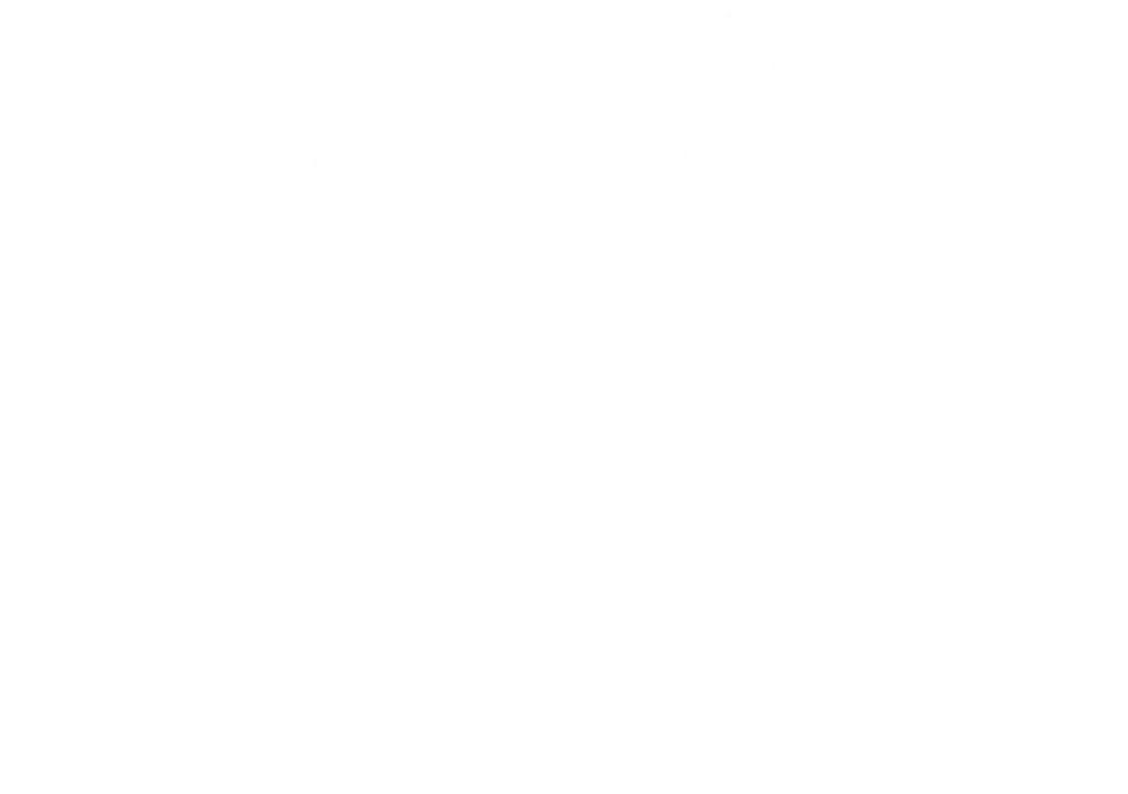 slice n schmear - Official Logo - white